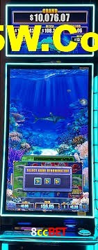Live Casino 8ccbet